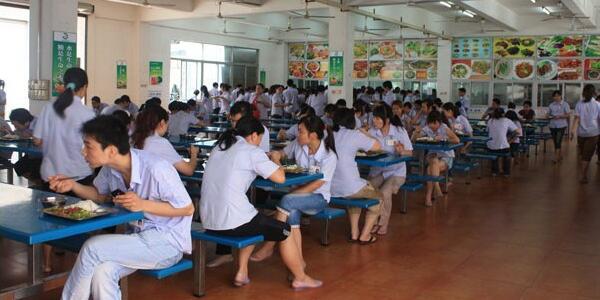 某制衣廠食堂餐費(fèi)價(jià)格上調(diào)的申請報(bào)告